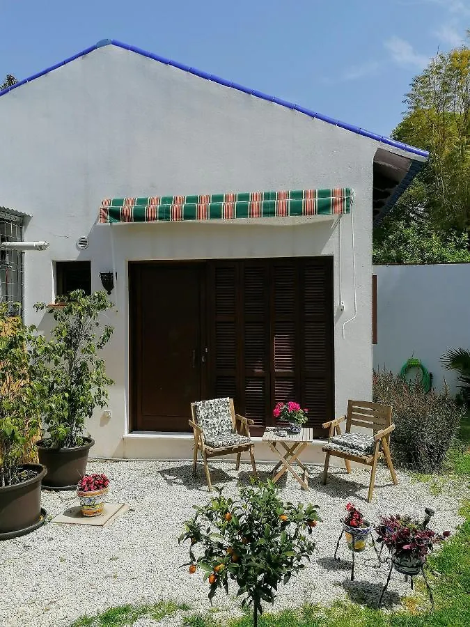מלון מאלגה El Jardin De Azahar