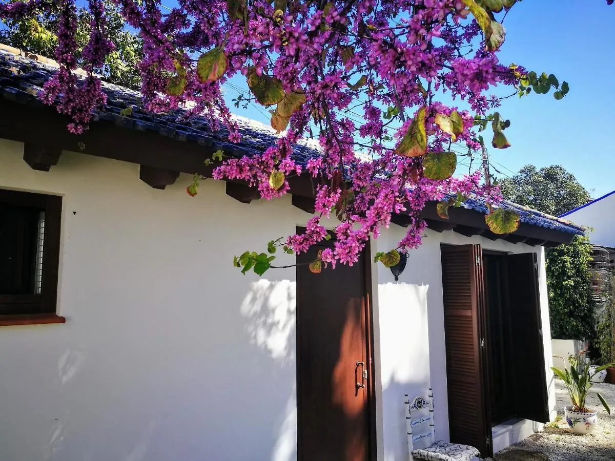 Penzion Hotel El Jardin De Azahar Màlaga